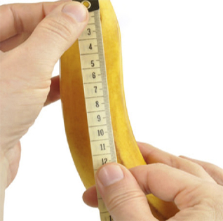 La banane est mesurée avec un ruban centimétrique