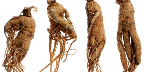 Ginseng Root pour augmenter le pénis