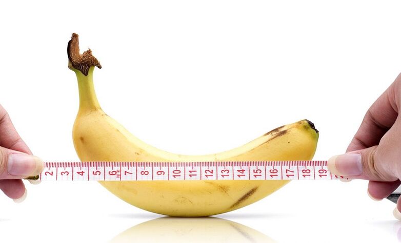 l'effet de l'abstinence sur la longueur du pénis